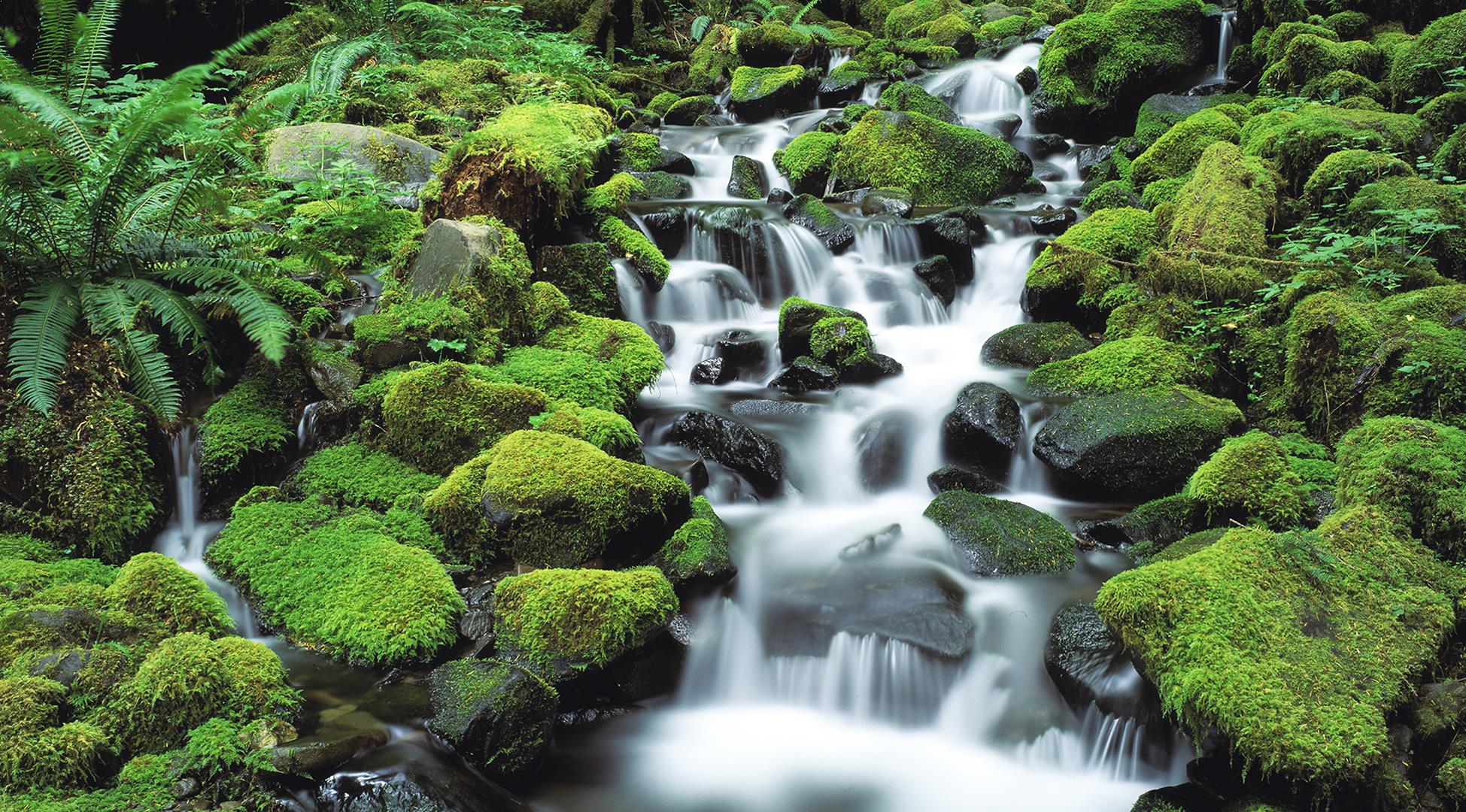olympic mountains website wallpaper