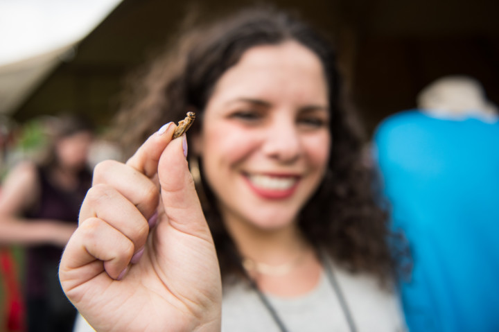 TEDxMileHigh Exhibits and Experiences